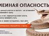 Змеиная опасность